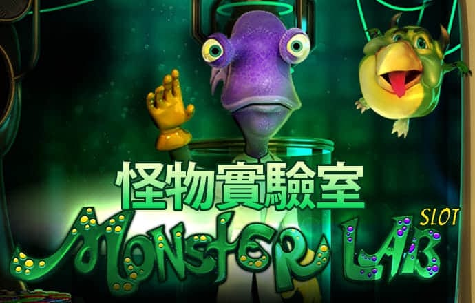 六合金彩网